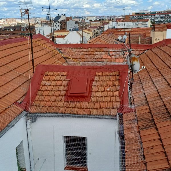 trabajo-verticales-195.jpg